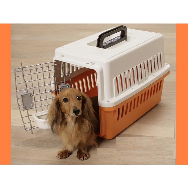 small dog travel crate